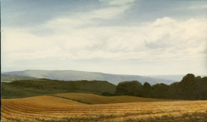 L2.17 - Amber fields